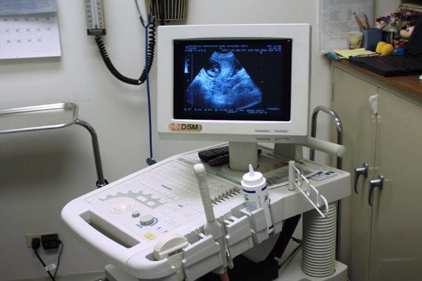 BMI Ultra Sonography